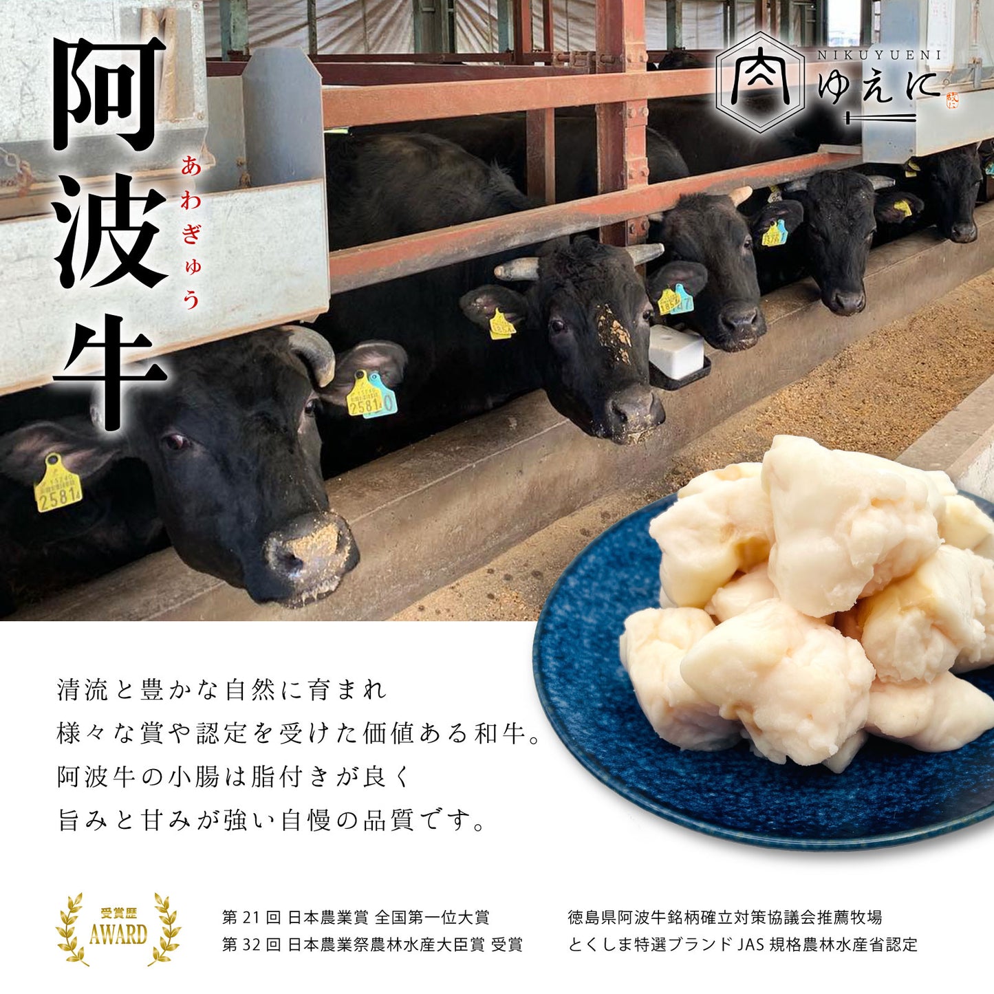 肉ゆえに 阿波牛 もつ鍋セット