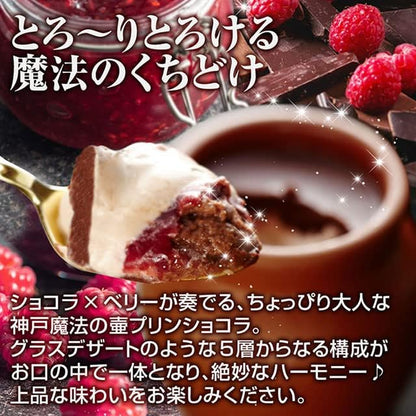 神戸フランツ 神戸魔法の壷プリン・ショコラ